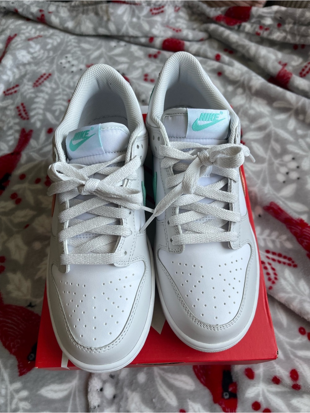 Nike White Low-Top Sneakers with Teal Logo and Mint Tongue Accents